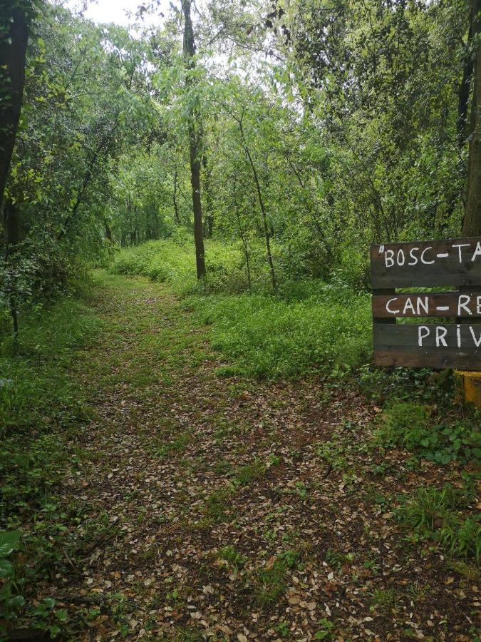 Can Resiu Seriñá Exterior foto